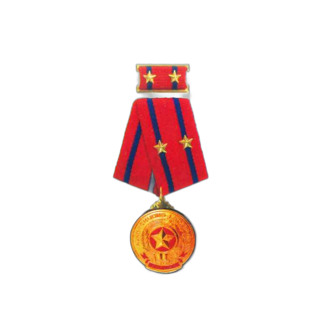 Second-class Labor Medal (2018).  