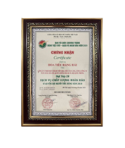 TOP 20 dịch vụ chất lượng hoàn hảo vì quyền lợi người tiêu dùng (2019)