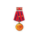 Second-class Labor Medal (2018).  