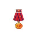 Third-class Labor Medal (2013 & 2023).