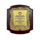 Certificate for Social Welfare Program (2023)